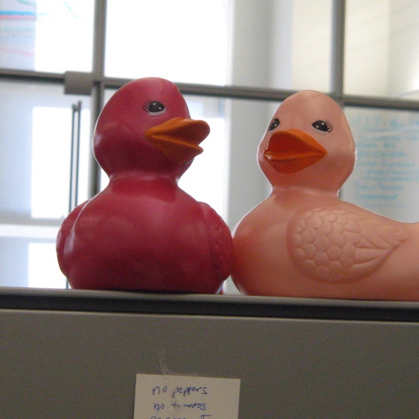 Curriculum is like a rubber duckie. Wander On!